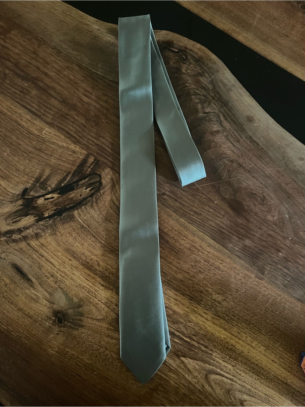 SORELLA VITA Sage green Satin Men's Tie